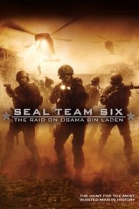 Seal Team Six The Raid On Osama Bin Laden 2012 Dual Audio Hindi-English BluRay 480p 720p mkv