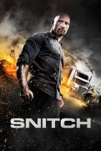 Snitch (2013) Hindi-English Dual Audio Bluray 480p [348MB] | 720p [936MB] mkv