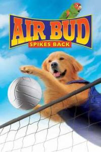 Air Bud Spikes Back (2003) Dual Audio Hindi ORG-English Esubs x264 WEBRip 480p [285MB] | 720p [786MB] mkv