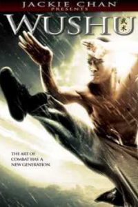 Jackie Chan Presents Wushu (2008) Hindi Dubbed x264 HDRip 480p [287MB] | 720p [763MB] mkv