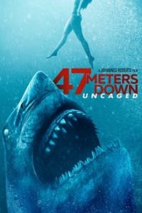 47 Meters Down Uncaged (2019)  Dual Audio Hindi ORG-English ESubs BluRay 480p [237MB] | 720p [912MB] mkv