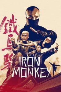 Iron Monkey (1993) Dual Audio Hindi-English x264 ESubs Bluray 480p [294MB] | 720p [812MB] mkv