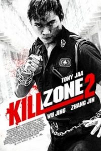 Kill Zone 2 (Sha po lang 2) 2015 UNCUT Hindi-Chinese Dual Audio x264 Bluray 480p [384MB] | 720p [1GB] mkv