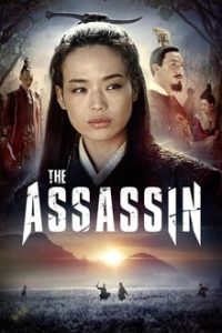 The Assassin (2015) Dual Audio Hindi ORG-English x264 Eng Subs BRRip 480p [340MB] | 720p [1.1GB] mkv