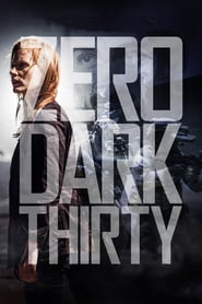 Zero Dark Thirty (2012)  Dual Audio Hindi ORG-English Esubs x264 BRRip 480p [504MB] | 720p [1.2GB] mkv