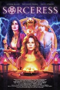 Sorceress (1995) UNRATED Dual Audio Hindi-English x264 Eng Subs Bluray 480p [290MB] | 720p [893MB] mkv