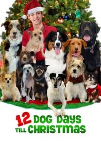 12 Dog Days Till Christmas (2014) Dual Audio Hindi-English x264 Esubs HDTVRip 480p [288MB] | 720p [1GB] mkv