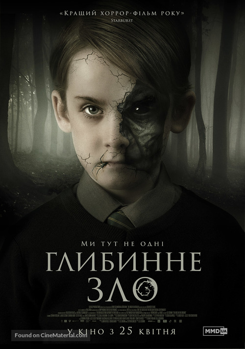 The Hole in the Ground (2019) Ukrainian movie poster