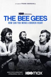 The Bee Gees How Can You Mend a Broken Heart (2020) English (Eng Subs) x264 WebRip 480p [321MB] | 720p [795MB] mkv