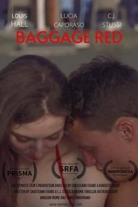 Baggage Red (2020) English (Eng Subs) x264 WebRip 480p [275MB] | 720p [795MB] mkv