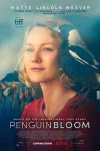 Penguin Bloom (2021) English (Eng Subs) x264 WebRip 480p [284MB] | 720p [795MB] mkv