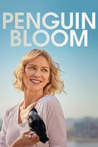 Penguin Bloom (2020) English x264 HDCAM 480p [155MB] | 720p [845MB] mkv