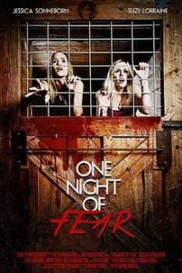 One Night of Fear (2016) English x264 WebRip 480p [306MB] 720pmkv