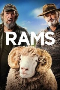 Rams (2020) English x264 WebRip 480p [356MB] | 720p [796MB] mkv