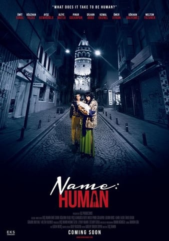 Name.Human.2020.WEBRip.XviD.MP3-XVID Torrent download