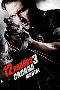 12 Rounds 3 Lockdown (2015) Dual Audio Hindi-English x264 Esubs Bluray 480p [245MB] | 720p [858MB] mkv