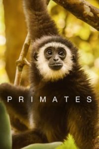 Primates [Season 1] x264 NF WEB-HD All English [English] Eng Subs 480p 720p mkv