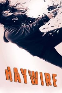 Haywire (2011) Dual Audio Hindi ORG-English Esubs BRRip x264 480p [299MB] | 720p [699MB] mkv