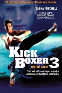 Kickboxer 3 The Art of War (1992) English Esubs x264 WEB-DL 480p [275MB] | 720p [850MB] mkv