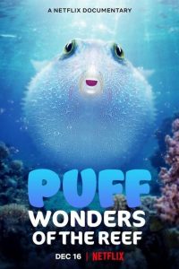 Puff: Wonders of the Reef (2021) Dual Audio Hindi ORG-English Esubs x264 WEBRip 480p [119MB] | 720p [630MB]  mkv