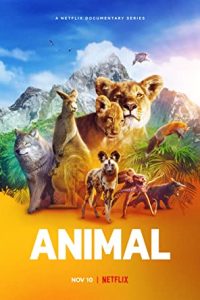 Animal (2021-) [Season 1-2] Web Series All Episodes [ Dual Audio Hindi-English Msubs] WebRip 480p 720p mkv