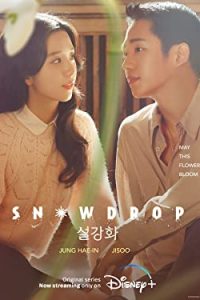 Snowdrop 2021 [Season 1] WebRip All Episodes [Dual Audio] Hindi-Korean Eng Subs x264 480p 720p Msubs mkv