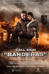 Call Sign Banderas (2018) Dual Audio Hindi ORG-English WEB-DL x264 480p [359MB] | 720p [1GB]   mkv
