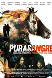 Purasangre (2016) Dual Audio Hindi ORG-Spanish x264 BluRay 480p [333MB] | 720p [1.1GB] mkv