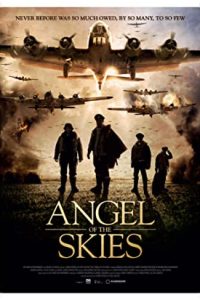 Angel of the Skies (2013) Dual Audio UNCUT Hindi ORG-English Esubs x264 BluRay 480p [328MB] | 720p [1.3GB] mkv