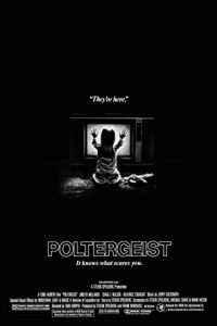 Poltergeist (1982) Dual Audio Hindi ORG-English x264 BRRip 480p [355MB] | 720p [1.3GB] mkv