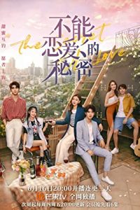 The Secret of Love [2021] [Season 1] Web Series All Episodes [Hindi Dubbed] WEBRip x264 480p 720p mkv