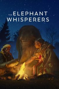 The Elephant Whisperers (2022) Dual Audio Hindi ORG-English Esubs x264 WEB-DL 480p [130MB] | 720p [440MB] mkv