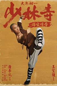 Rising Shaolin: The Protector (2021) Dual Audio Hindi ORG-Chinese x264 WEB-DL 480p [313MB] | 720p [1GB] mkv
