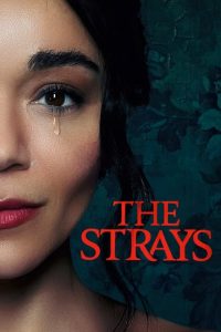 The Strays (2023) Dual Audio Hindi ORG-English Msubs x264 Esubs WEBRip 480p [304MB] | 720p [1GB] mkv