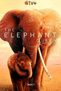 The Elephant Queen (2018) Dual Audio Hindi ORG English Msubs x264 WEB-DL 480p [314MB] | 720p [865MB] mkv