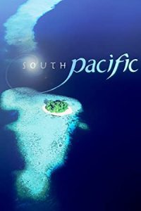 Sourh Pacific (2009) [Season 1] Web Series Dual Audio All Episodes [Hindi-English] WEBRip x264 480p 720p mkv