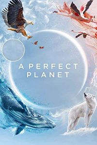 A Perfect Planet (2021) [Season 1] Web Series All Episodes Dual Audio [Hindi-English] WEBRip x264 480p 720p mkv