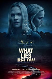 What Lies Below (2020) Dual Audio Hindi ORG-English Esubs x264 BluRay 480p [284MB] | 720p [1.2GB] mkv
