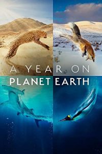 A Year on Planet Earth (2022) [Season 1] Web Series All Episodes [English Esubs] WEBRip x264 480p 720p mkv