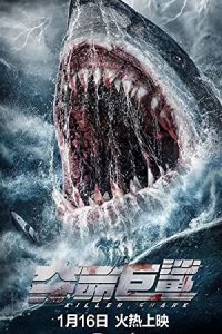 Killer Shark (2021) Dual Audio Hindi ORG-Chinese x264 WEB-DL 480p [222MB] | 720p [1GB] mkv