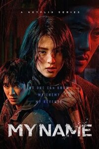 Undercover (2021) [Season 1] All Episodes Dual Audio [Hindi-English Esubs] WEBRip x264 HD 480p 720p mkv