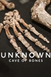 Unknown: Cave of Bones (2023) Dual Audio Hindi ORG-English Esubs x264 WEB-DL 480p [310MB] | 720p [855MB]  mkv
