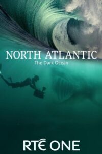 North Atlantic: The Dark Ocean (2023) (Season 1) All Episodes WEB Series WEBRip [English] 480p | 720p Esub mkv